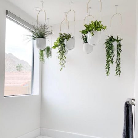 Umbra Bolo Planter