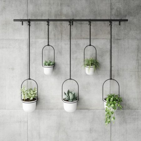 Plant It!