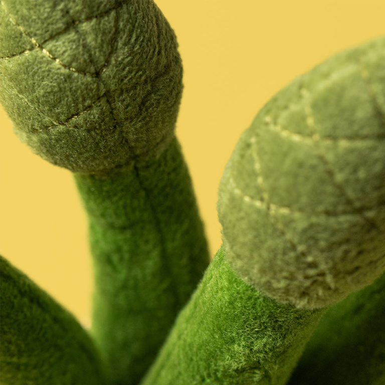 Jellycat Amuseables - Asparagus - Image 4