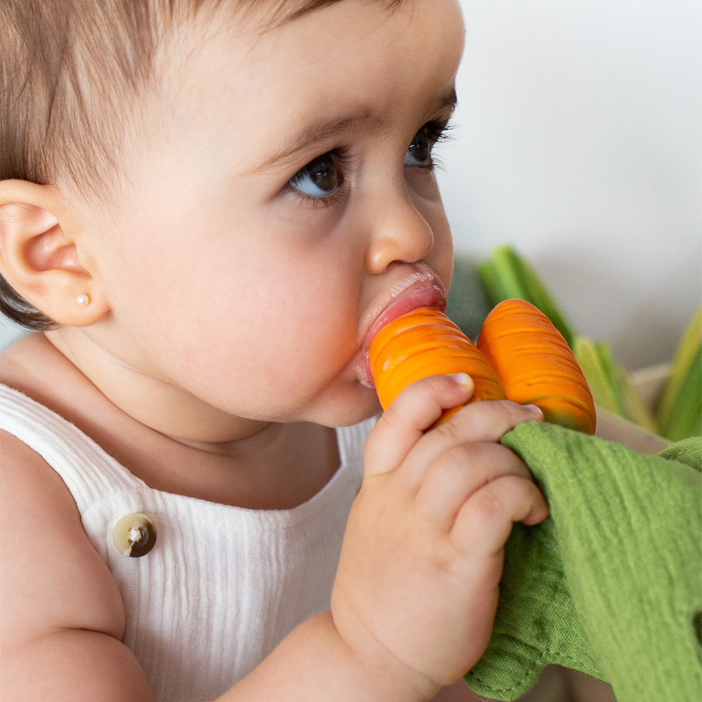 Oli&Carol Mini Dou-dou and Teether - Cathy the Carrot - Image 2